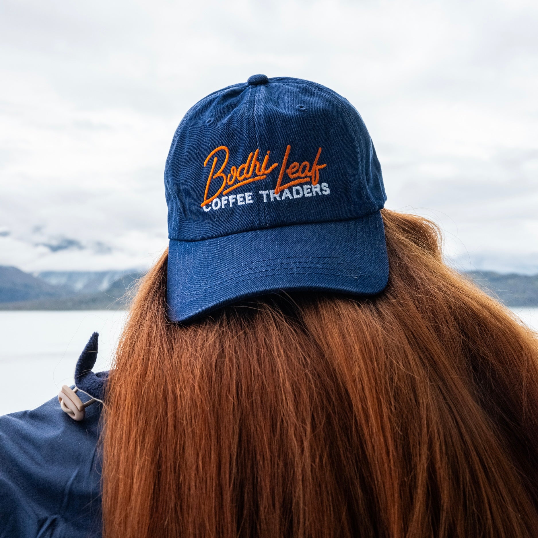Denim Dad Hats - Bodhi Leaf Coffee Traders