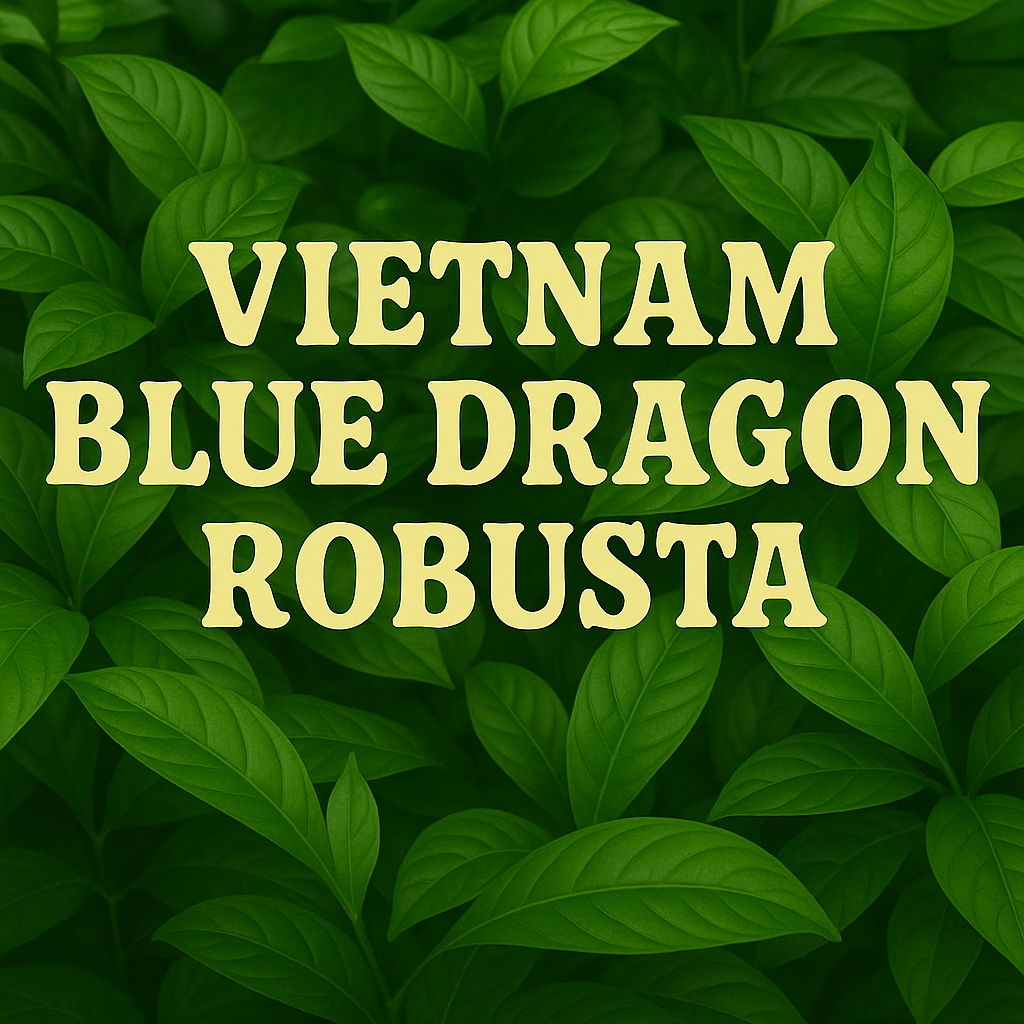 Text 'VIETNAM BLUE DRAGON ROBUSTA' on a green leafy background