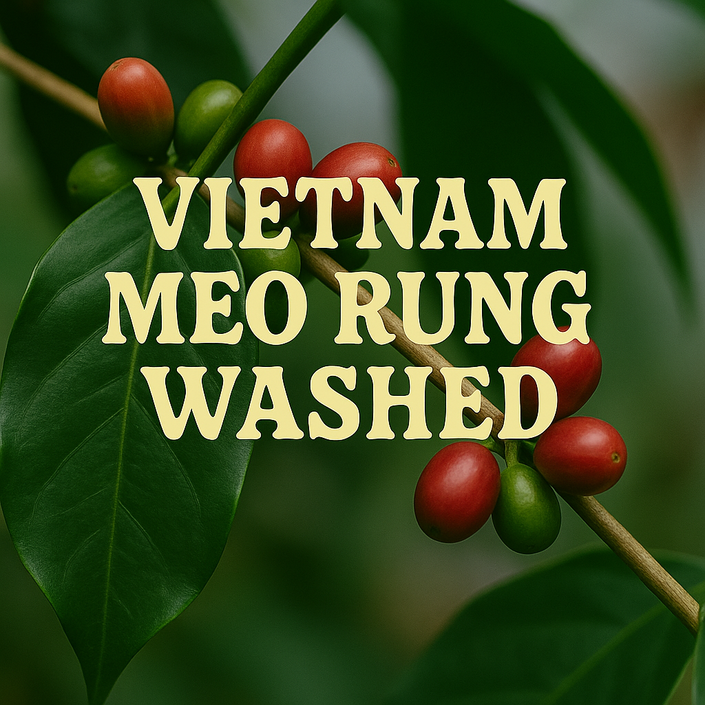 Red coffee berries on a branch with green leaves, and text 'VIETNAM MEO RUNG WASHED' in yellow.