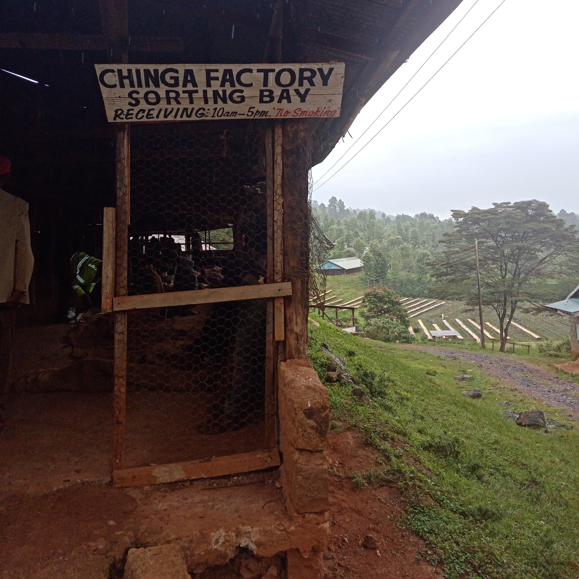 Chinga Factory Sorting Bay