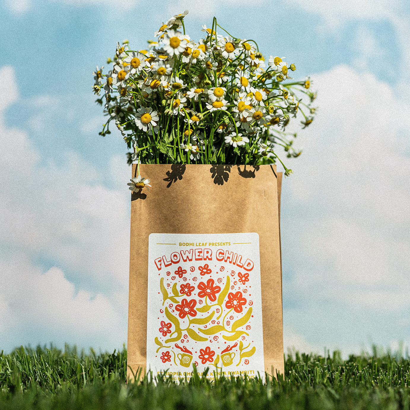 Roasted - Flower Child Spring Blend