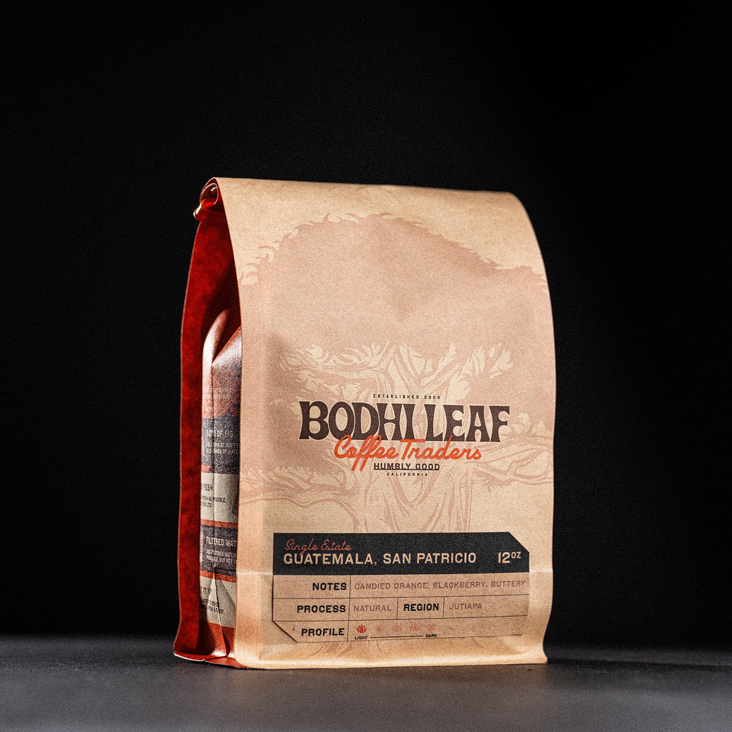 Roasted - Guatemala San Patricio Natural Geisha