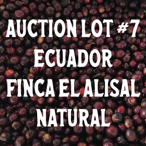 Ecuador El Alisal Natural Auction Lot #7 - Green
