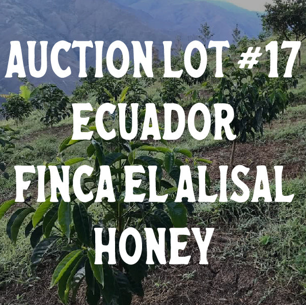 Ecuador El Alisal Honey Auction Lot #17 - Green