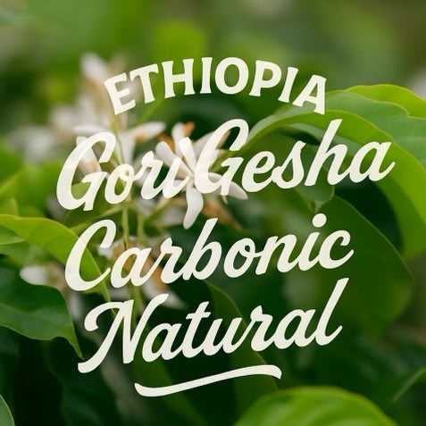 Text overlay on green leaves and flowers with 'Ethiopia GorilGesha Carbonic Natural' branding.