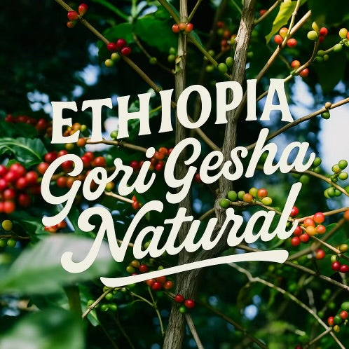 Coffee tree branch with red and green coffee berries and 'ETHIOPIA Gori Gesha Natural' text.