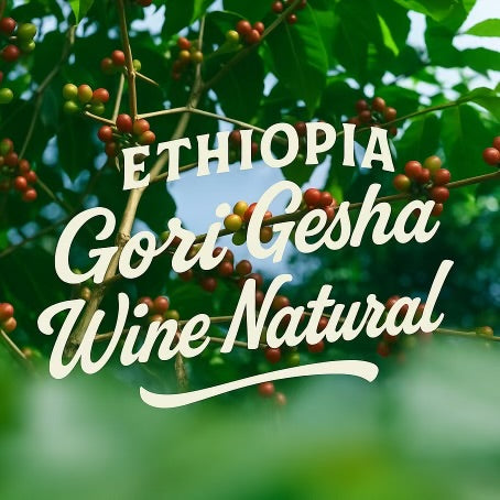 Coffee cherries on a branch with 'ETHIOPIA Gori Gesha Wine Natural' text overlay.