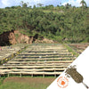 Raised coffee drying beds