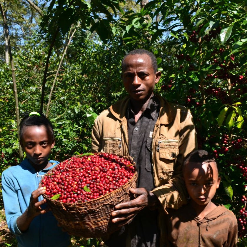 Ethiopia Yirgacheffe Idido Natural Gr1