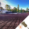 Coffee farmer raking beans as they dry on a large patio