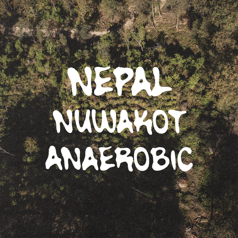 Nepal Nuwakot Anaerobic Natural - Green