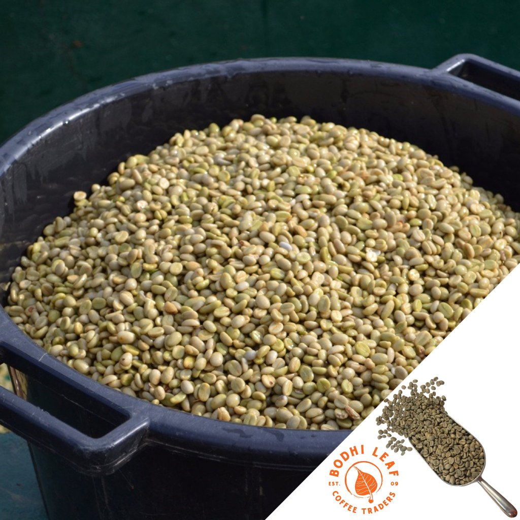 Black bin filled with green coffee beans, with a brand logo in the corner.