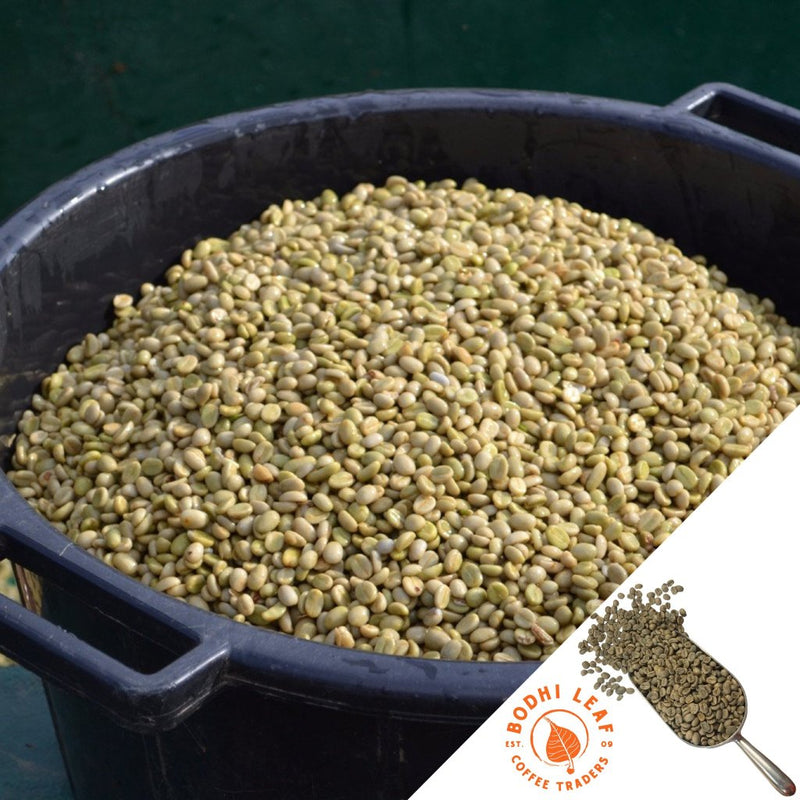 Black bin filled with green coffee beans, with a brand logo in the corner.