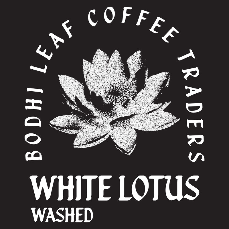 Vietnam White Lotus Washed - Green