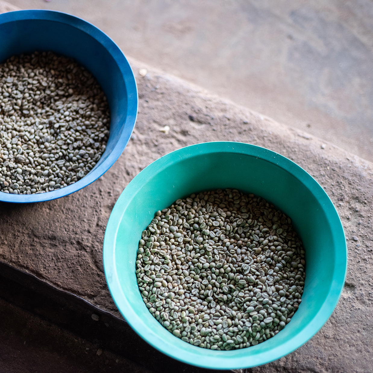 Ethiopia Riripa Sidamo Washed - Green