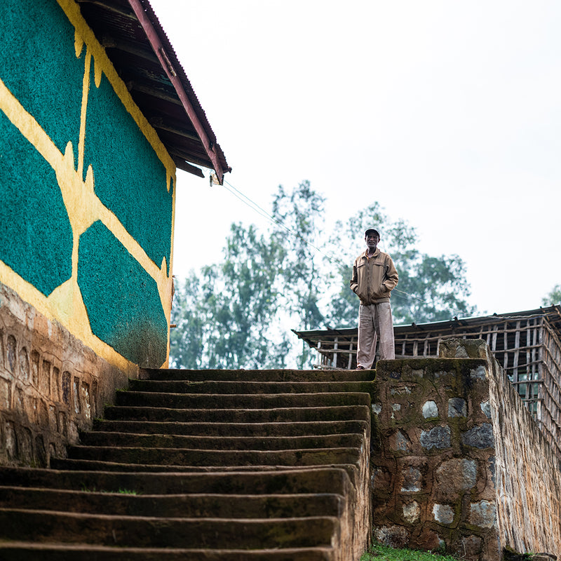 A man in a beige jacket and trousers stands on stone steps beside a building with a green and yellow painted wall under an overcast sky.
