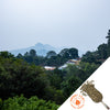 Guatemala Las Rosas H1 Natural - Green
