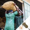 Coffee farmer carring a burlap bag full of coffee beans on his head