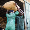 Coffee farmer carrying burlap bag of coffee beans on his head