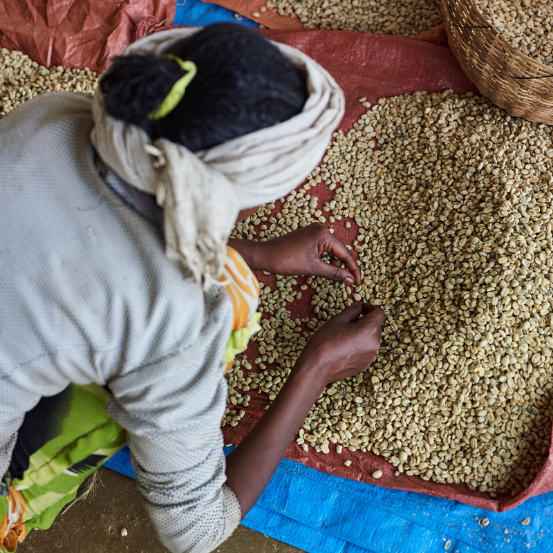Ethiopia Guji Arsosala GR3 Natural