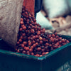 Costa Rica Tarrazu La Esperanza Washed