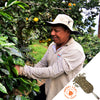 Colombia Excelso EA Decaf - Green