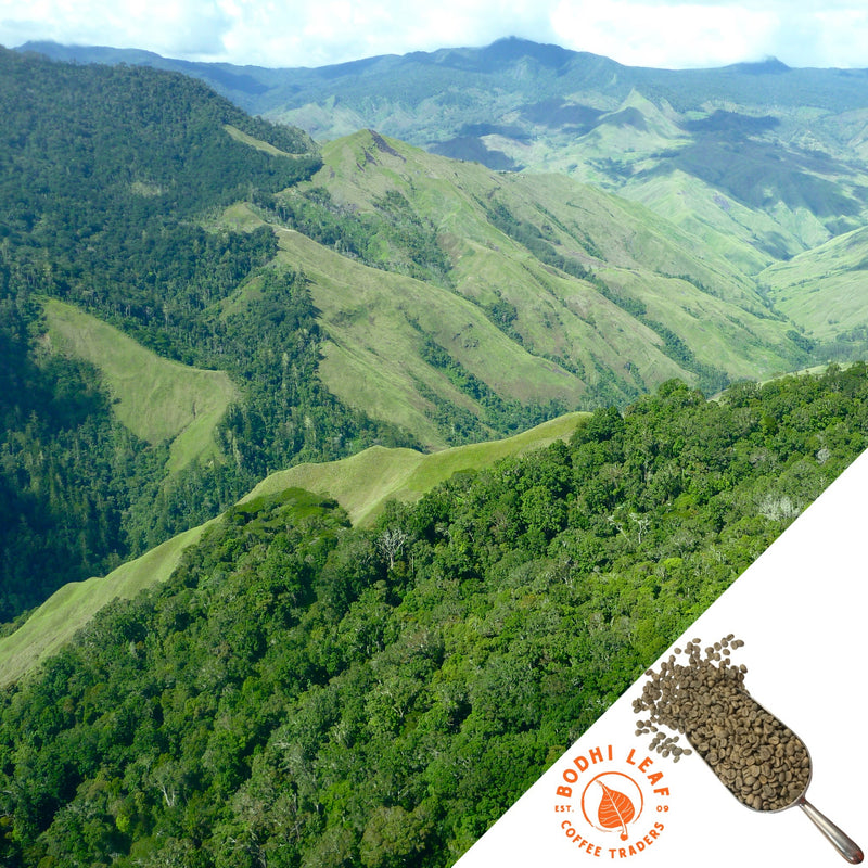 Gorgeous green mountains and terrain filled with various tree varieties and shrubs.