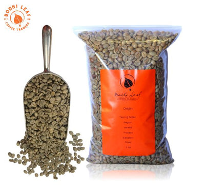 green coffee scoop with clear bag of green coffee beans